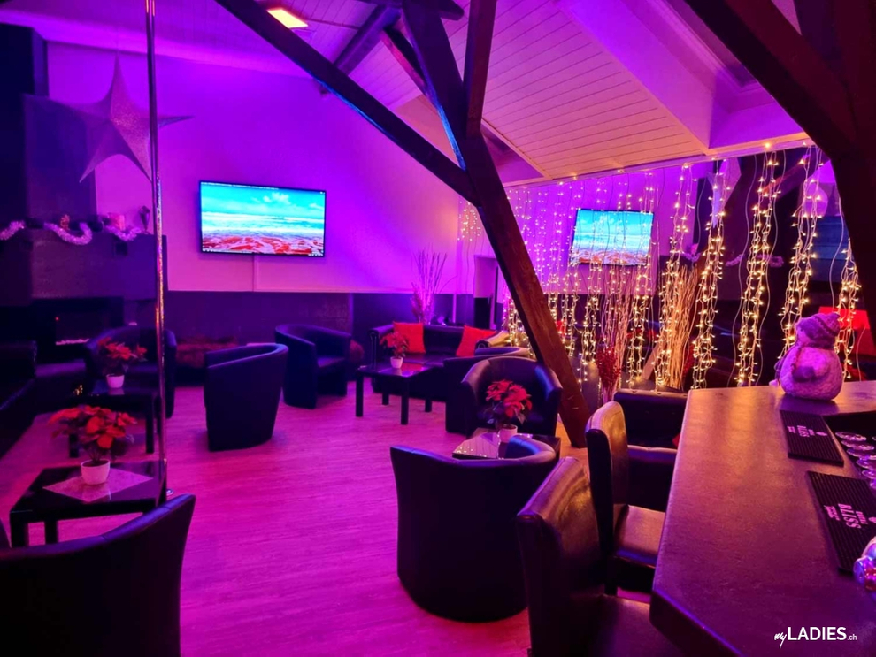 🐦 Colibri Kontaktbar 🐦 / Bild 3