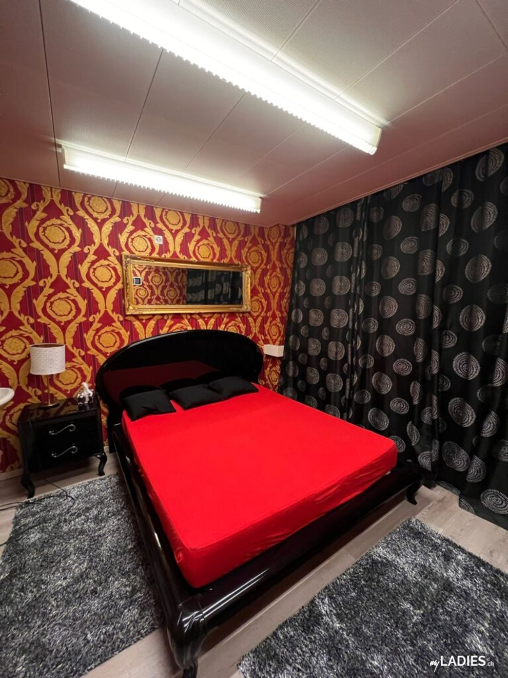 XoXo Girls / Bild 10