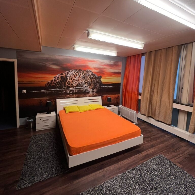 XoXo Girls — 1205 Genève