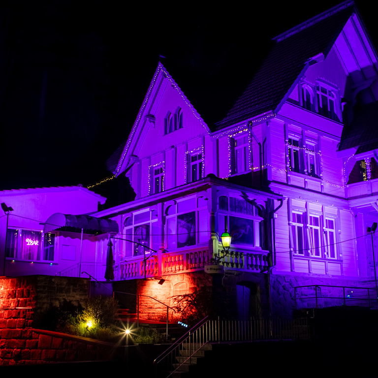 Vip Bar — 8135 Sihlbrugg