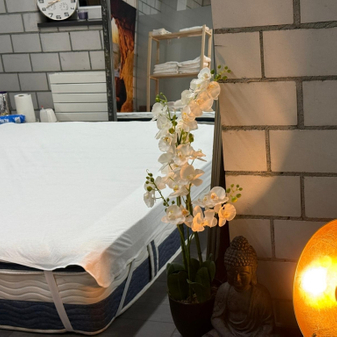 Anzeigenbild Masseurinnen im erotischen Bereich gesucht