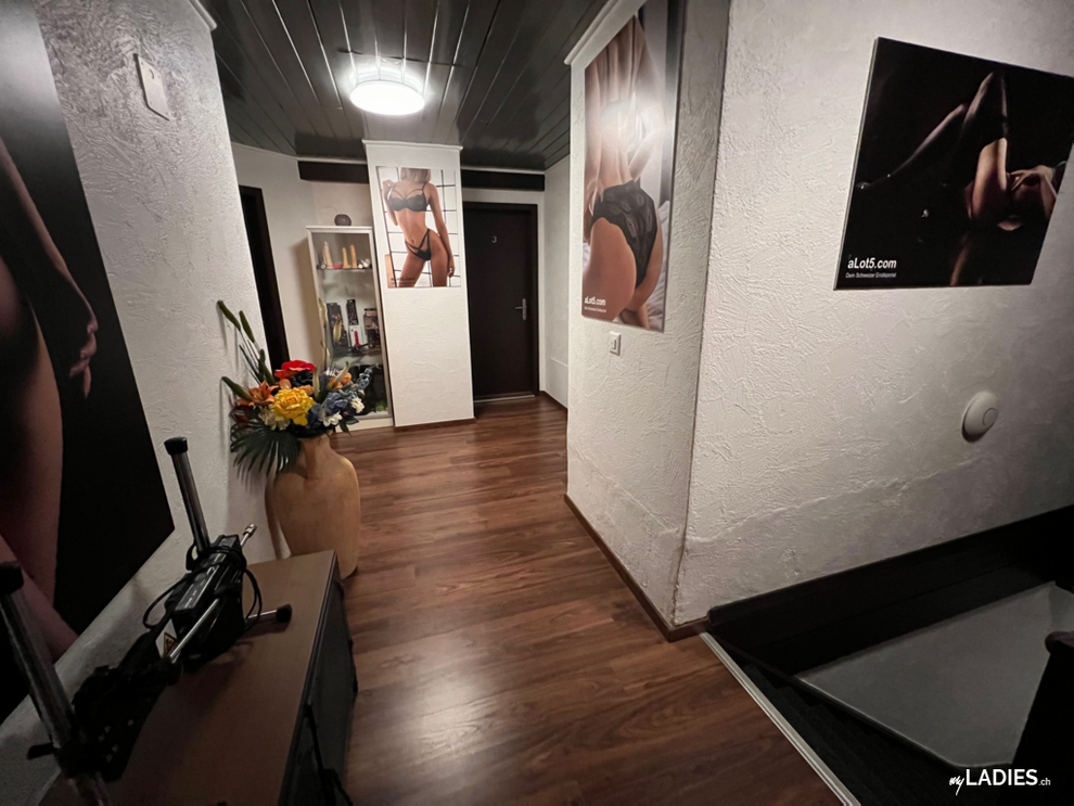 Wir suchen gut gelaunte Girls / Bild 9