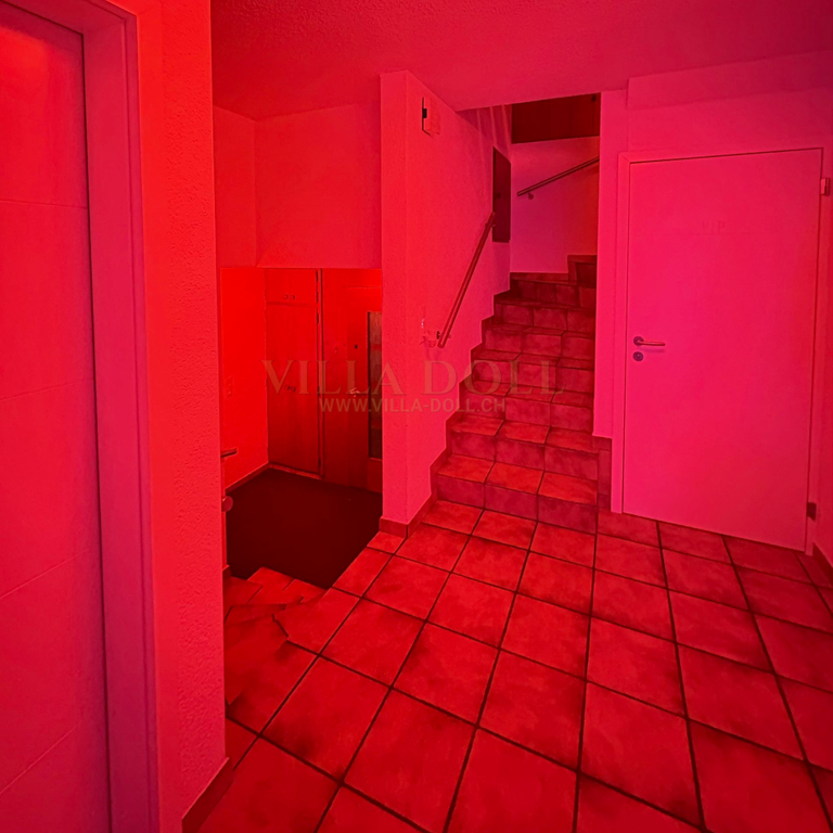 Villa Doll — 5734 Reinach