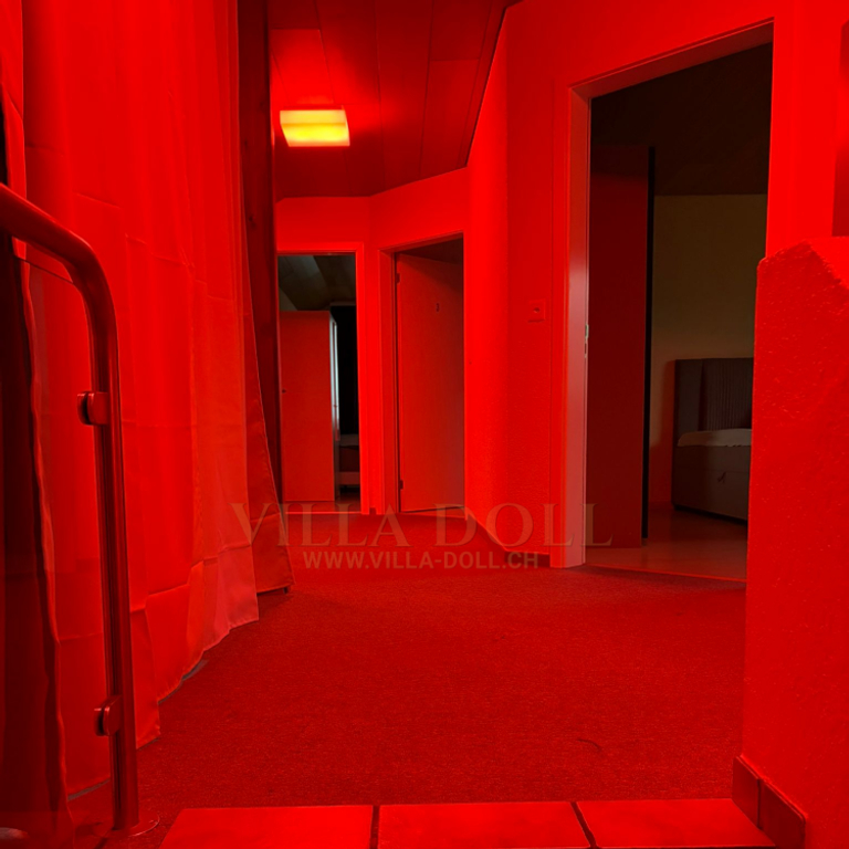 Villa Doll — 5734 Reinach