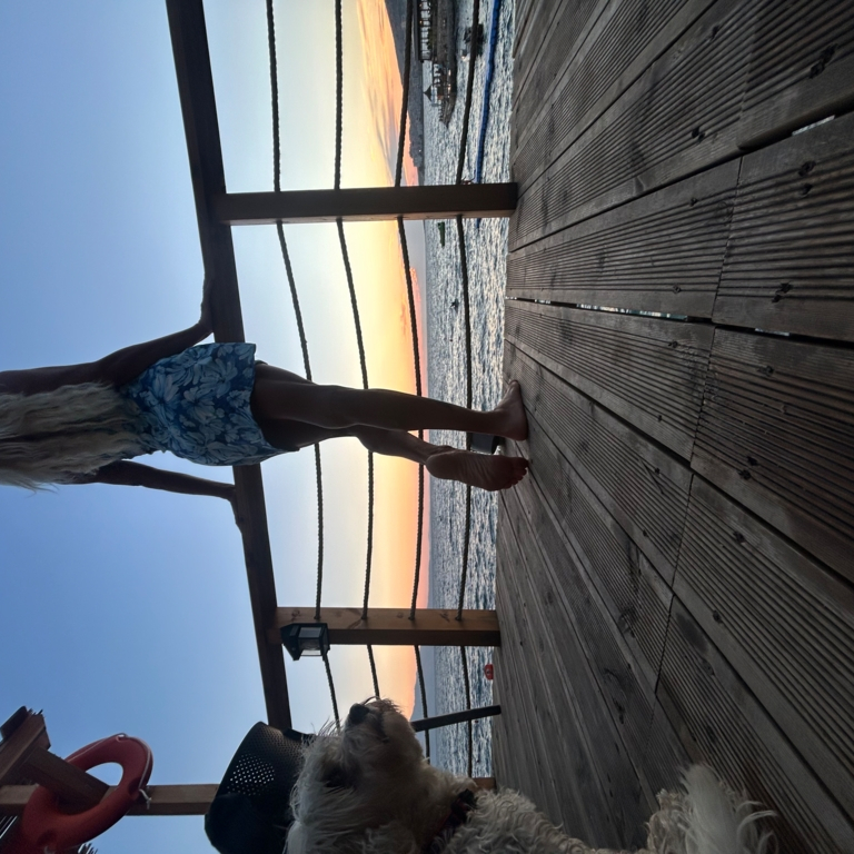 Evatransitalian - TRANS EVA TOP CLASS