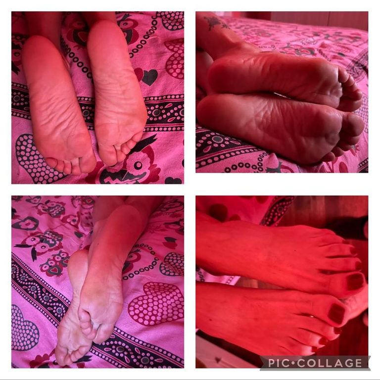 Evatransitalian - TRANS EVA TOP CLASS