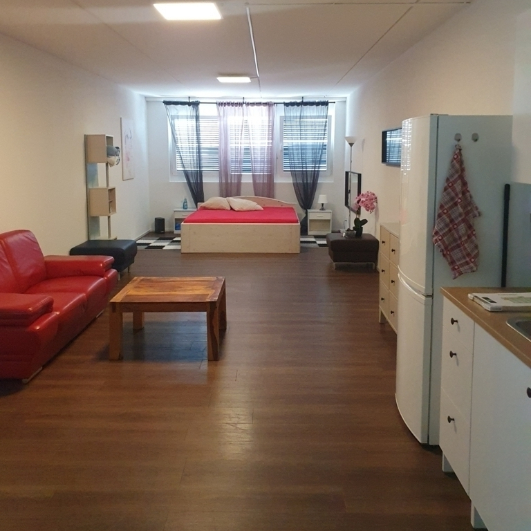Nachmieter gesucht für grosses 1.5 Zimmer Studio