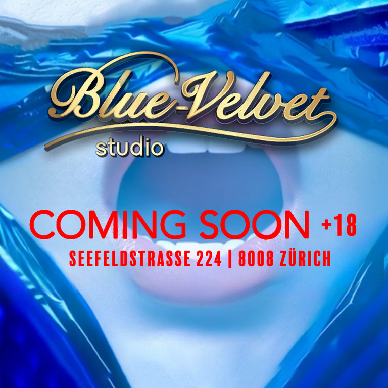 Blue Velvet Studio — 8008 Zürich