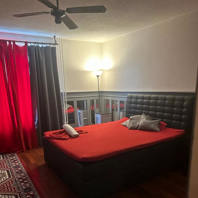 Karibik-Girls — 8005 Zürich