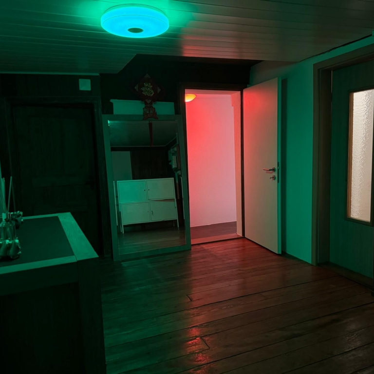 Asia Lips — 8610 Uster