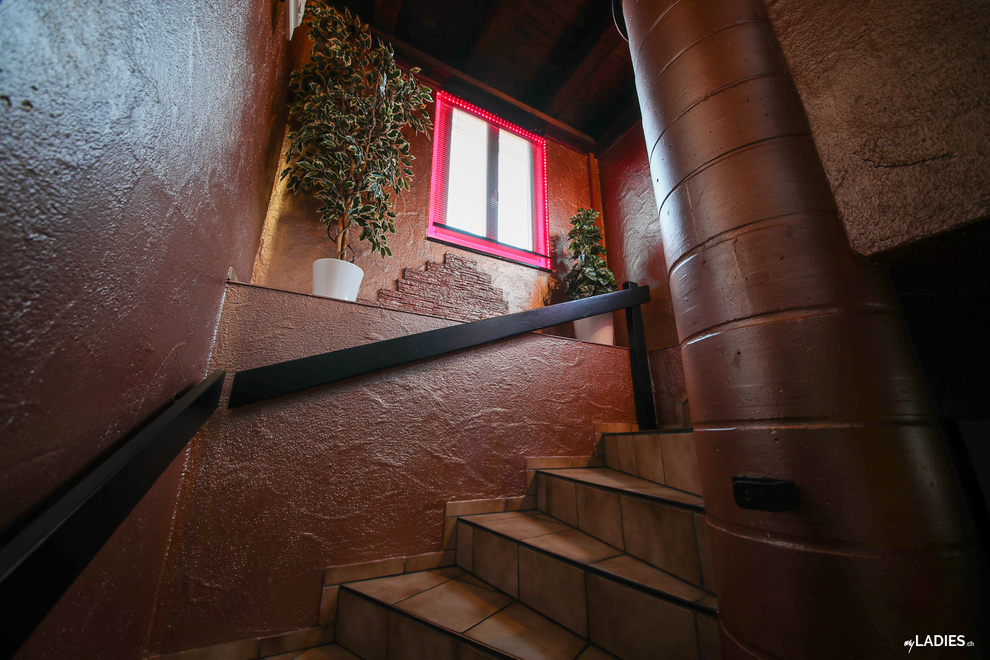 Deine Chance / Bild 1