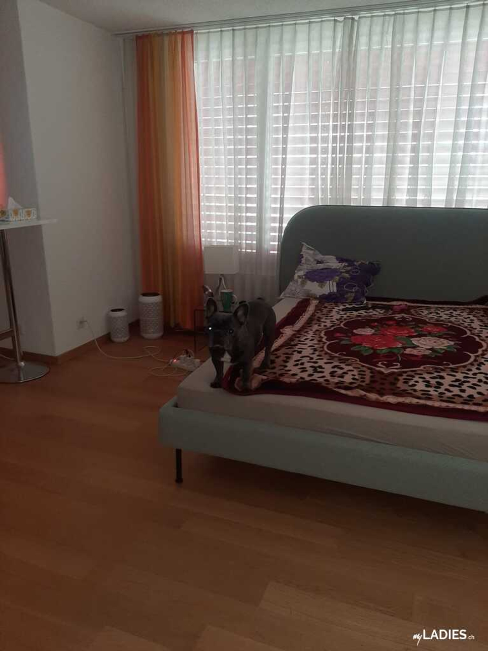 Top Verdienstmöglichkeit in der Zentralschweiz / Bild 9