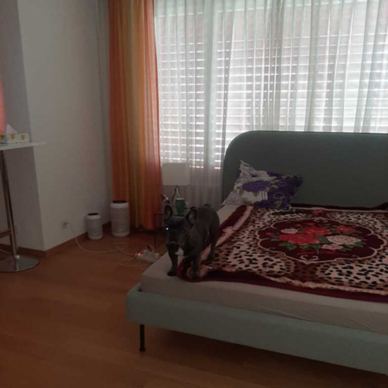 Top Verdienstmöglichkeit in der Zentralschweiz