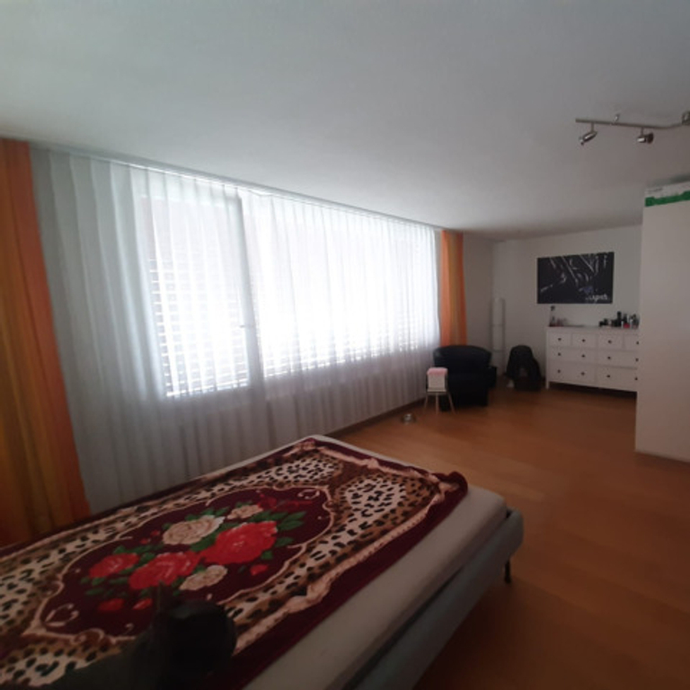 Top Verdienstmöglichkeit in der Zentralschweiz