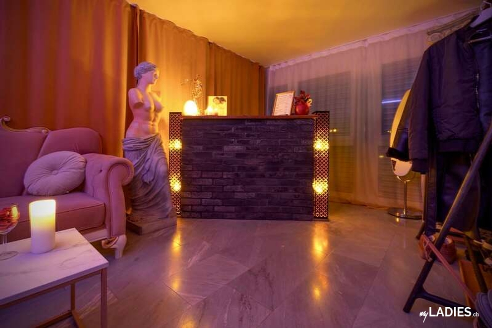 Exklusive Mietgelegenheit ! / Bild 3