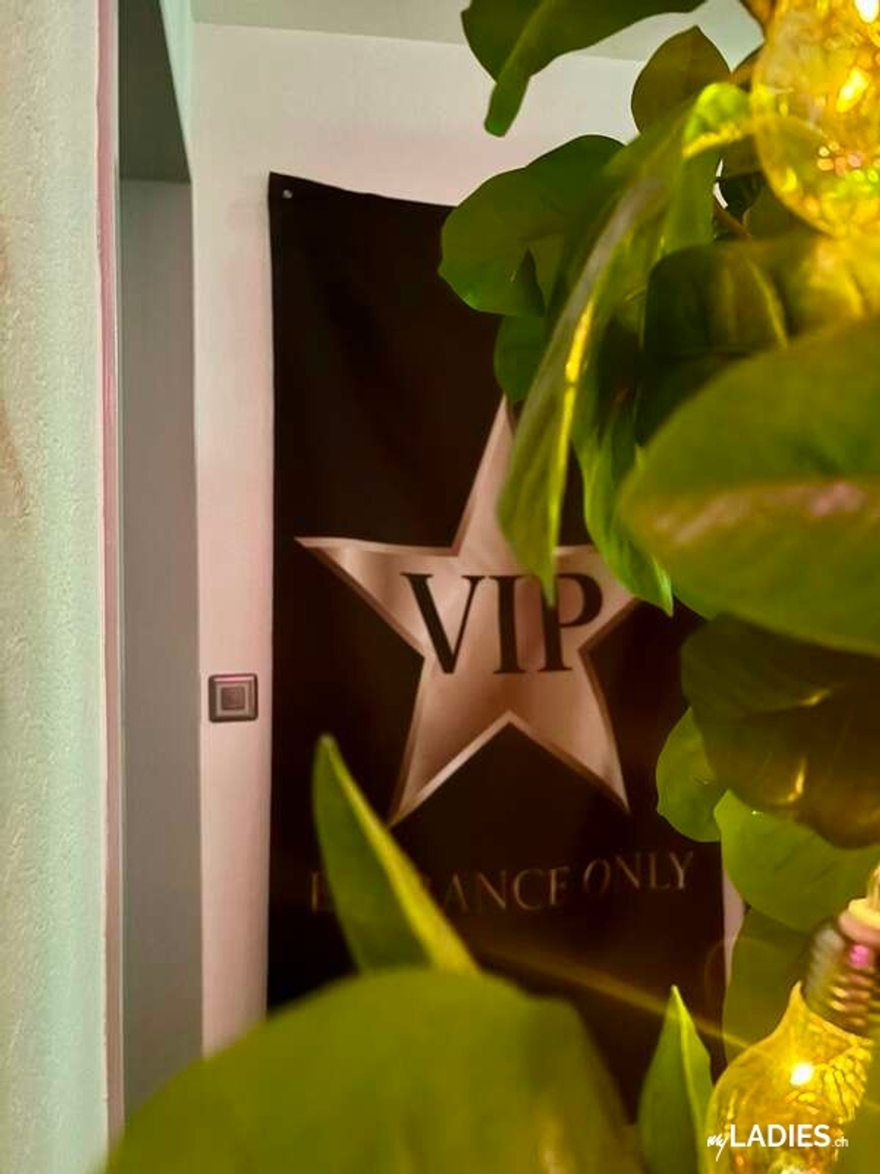 Exklusive Mietgelegenheit ! / Bild 7