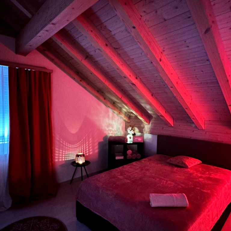 Verwandle deine Leidenschaft in viel Geld – werde erotische Masseurin!