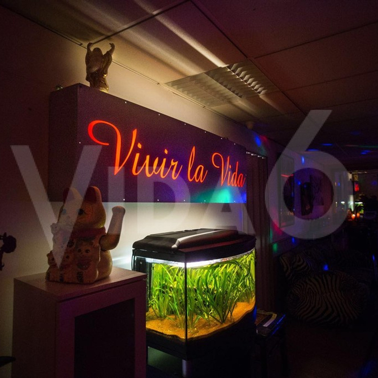 Vida6 — 8152 Glattbrugg