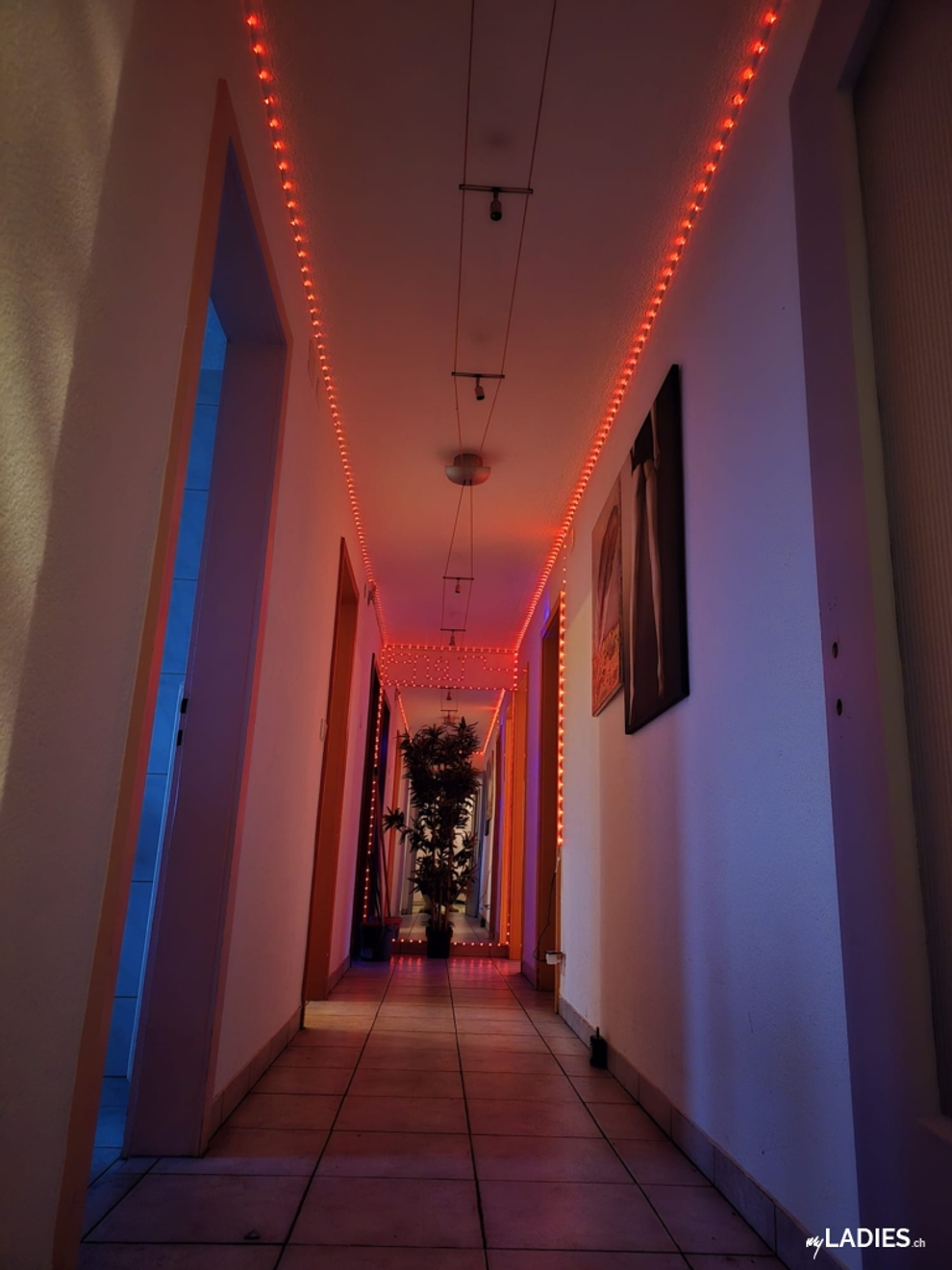 🔴 Studio Anel ⭕  Ɑ͞ ̶͞ ̶͞ ̶͞ لں͞  （ ͜.人 ͜.）😋 / Bild 8