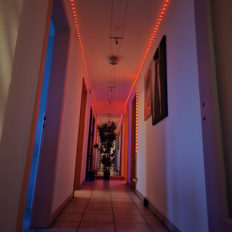 🔴 Studio Anel ⭕  Ɑ͞ ̶͞ ̶͞ ̶͞ لں͞  （ ͜.人 ͜.）😋 — 5745 Safenwil