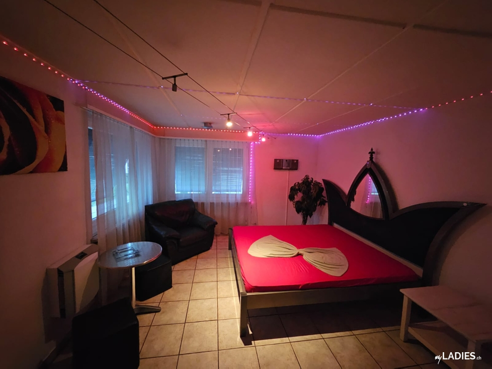 🔴 Studio Anel ⭕  Ɑ͞ ̶͞ ̶͞ ̶͞ لں͞  （ ͜.人 ͜.）😋 / Bild 3