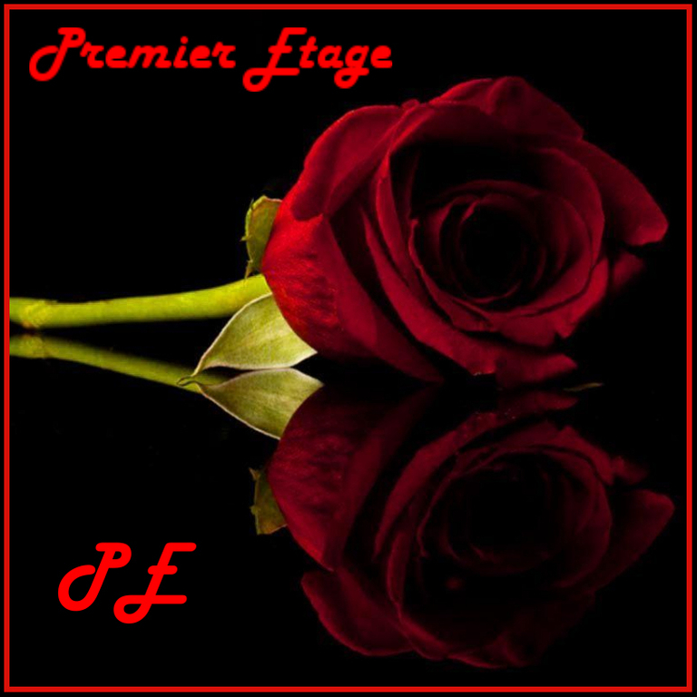 Premier Etage — 4852 Rothrist