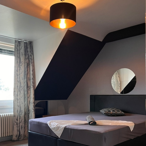 ❌ Camere aprobate în Zurich de închiriat ❌