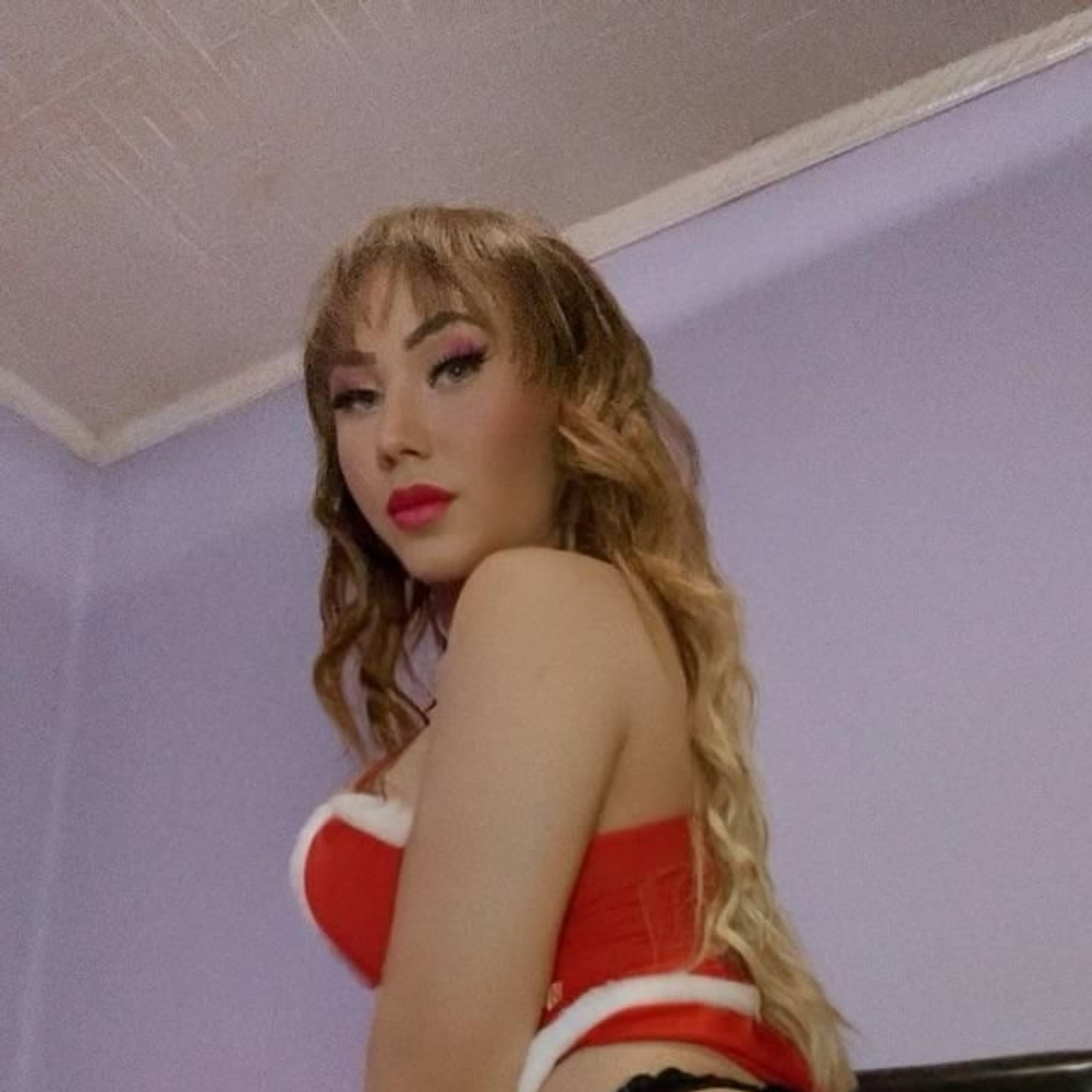 Image #9 de TS NOÉMI