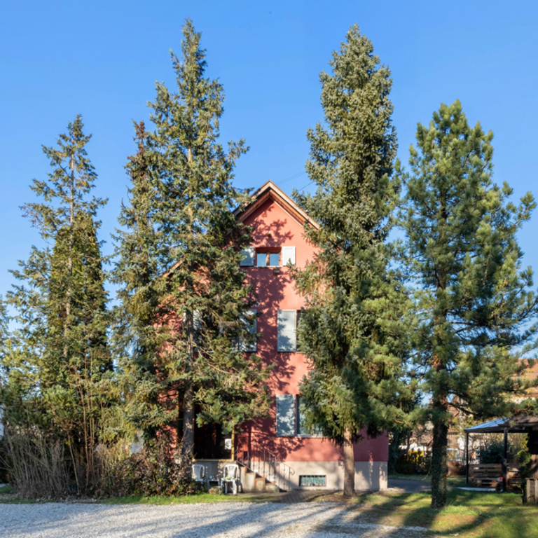 Lollis — 5330 Bad Zurzach