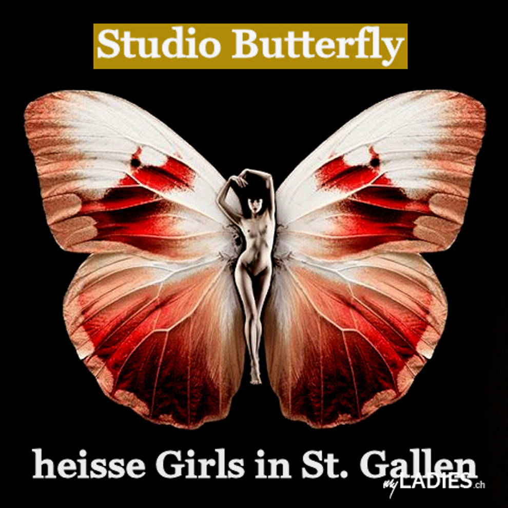Studio Butterfly / Bild 1