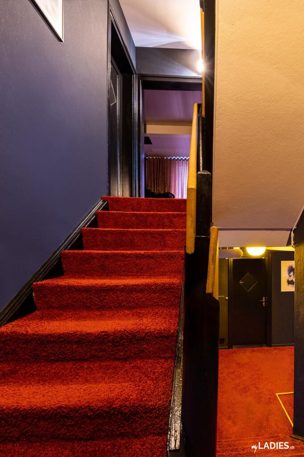 Enjoy & Pleasure / Bild 12