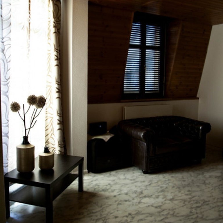 VILLA VIKTORIA — 4053 Basel