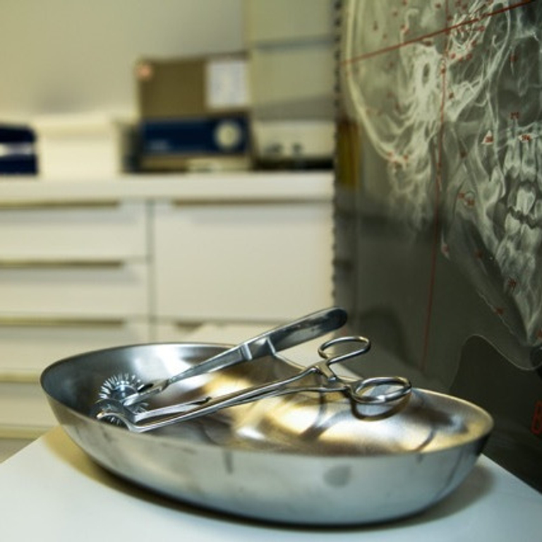 VILLA VIKTORIA — 4053 Basel