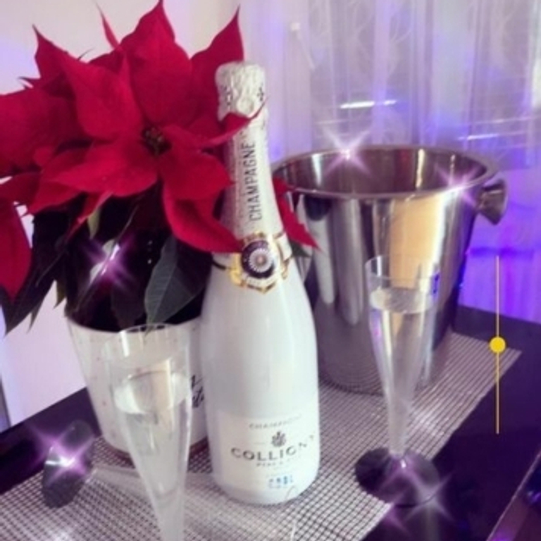 Villa Venus — 9030 St. Gallen