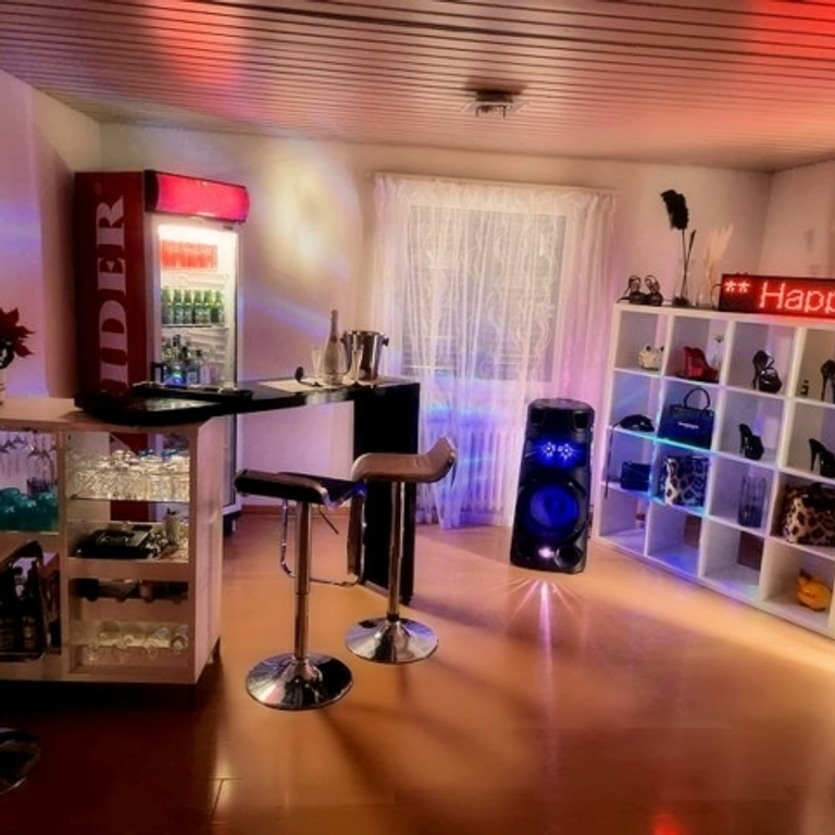 Villa Venus — 9030 St. Gallen