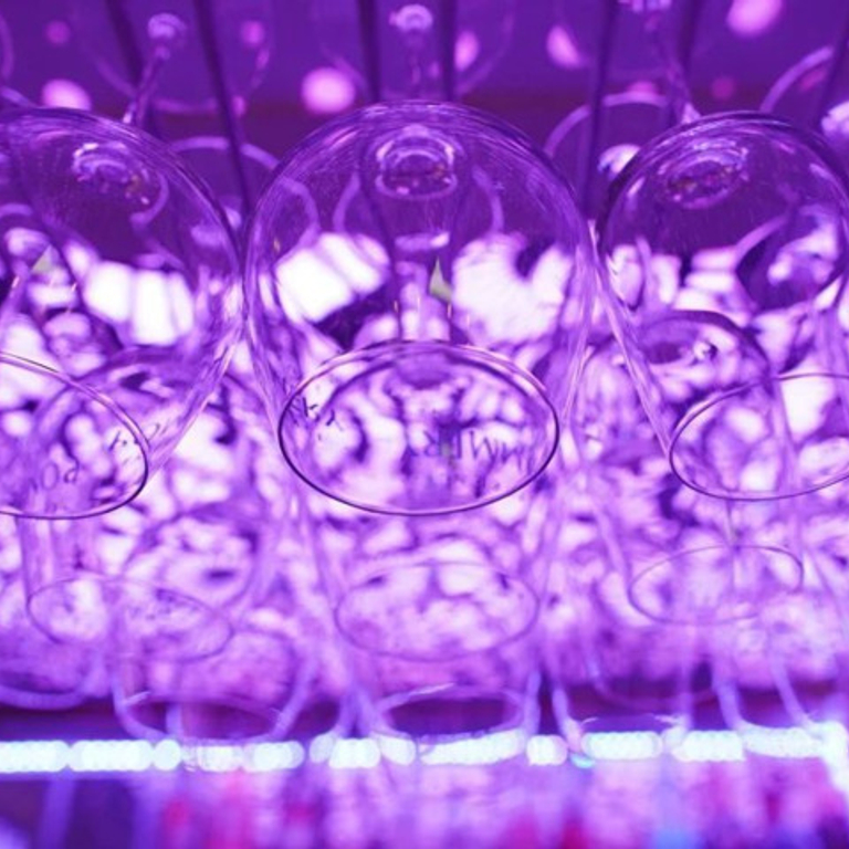 Wild Secrets Hotel — 4702 Oensingen