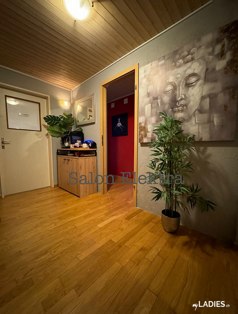 Elektra Girls / Bild 4