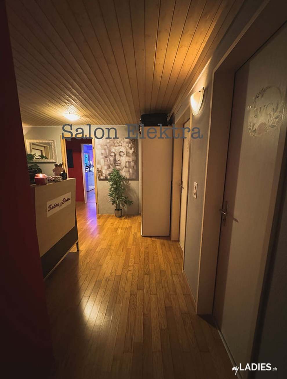 Elektra Girls / Bild 2