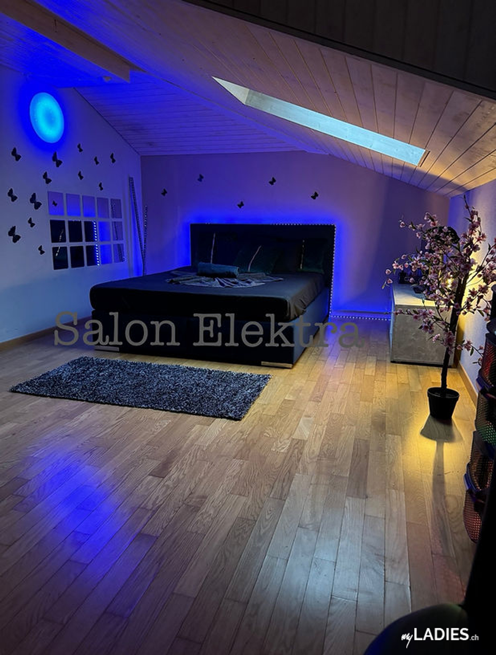 Elektra Girls / Bild 5