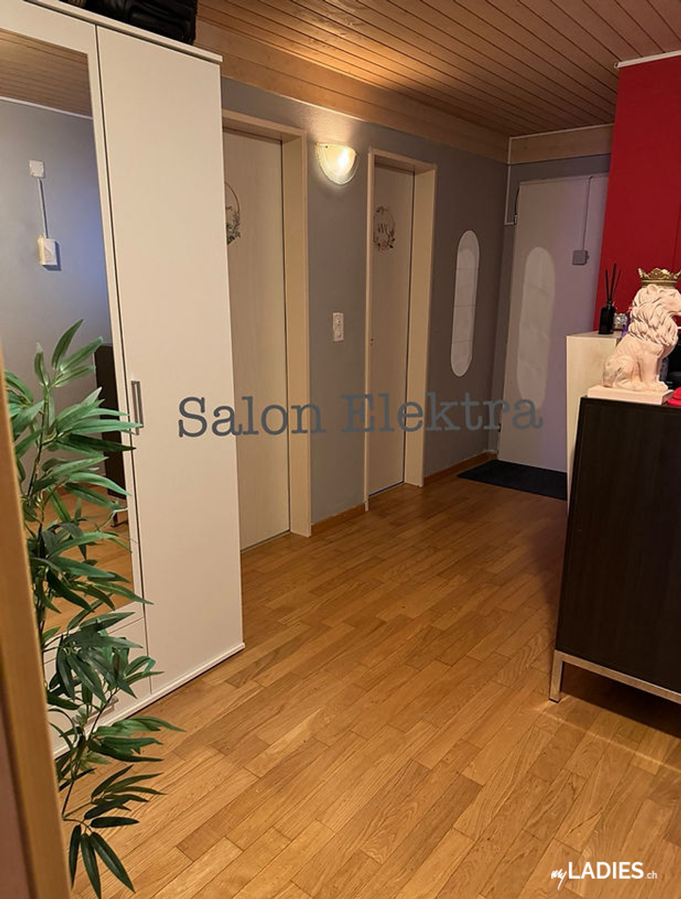 Elektra Girls / Bild 3