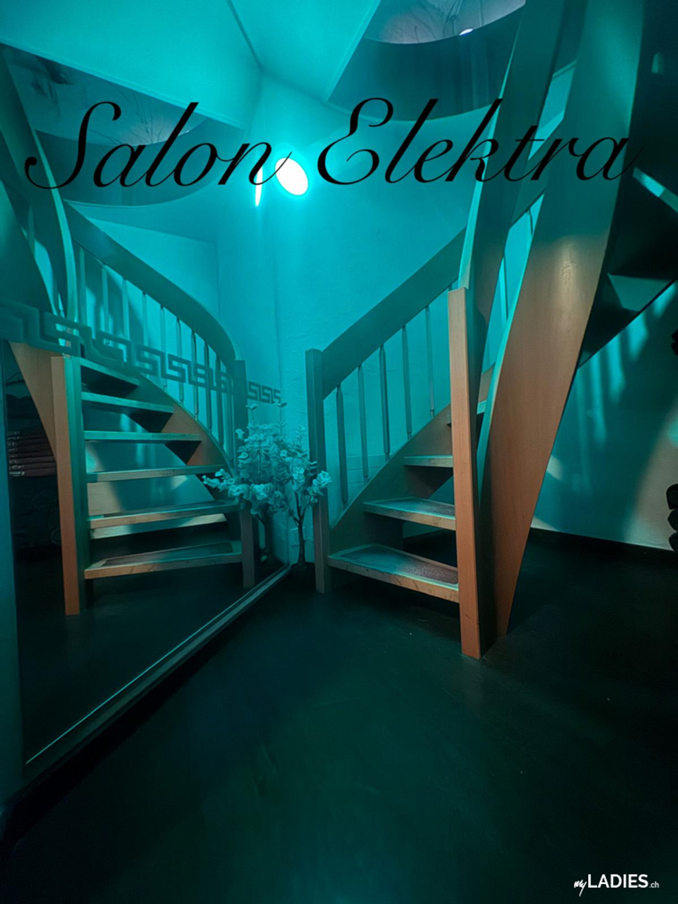 Salon Elektra / Bild 15