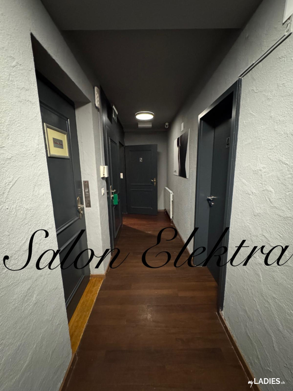 Salon Elektra / Bild 17