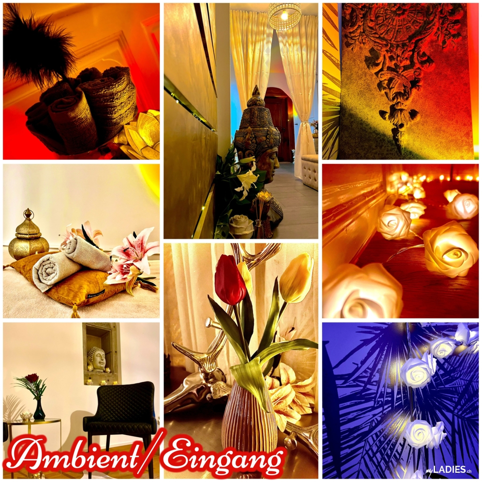 Sweet Touch Massage / Bild 25