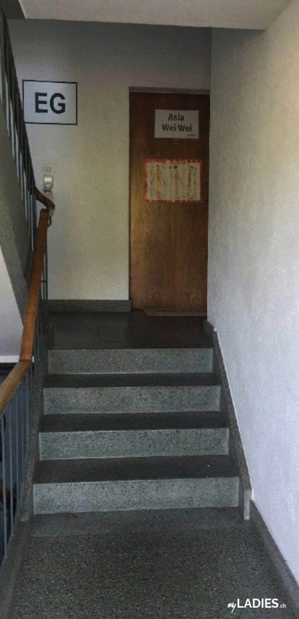 Asia-Wei-Wei / Bild 6