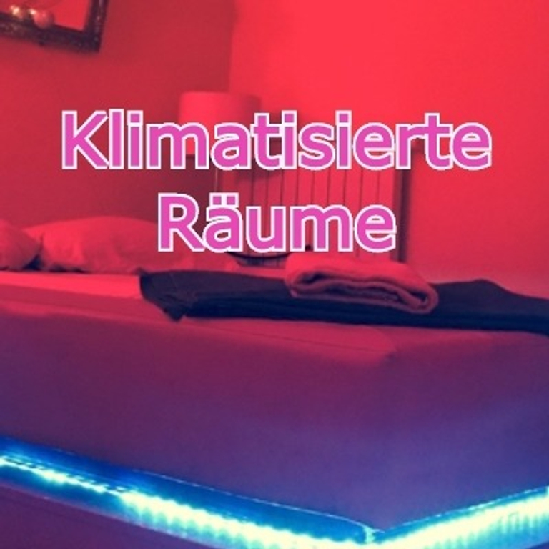 Play Models — 8953 Dietikon