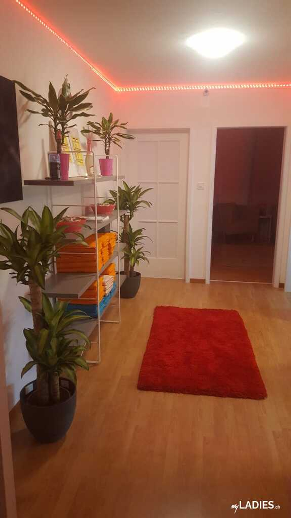 Asia Garten / Bild 3