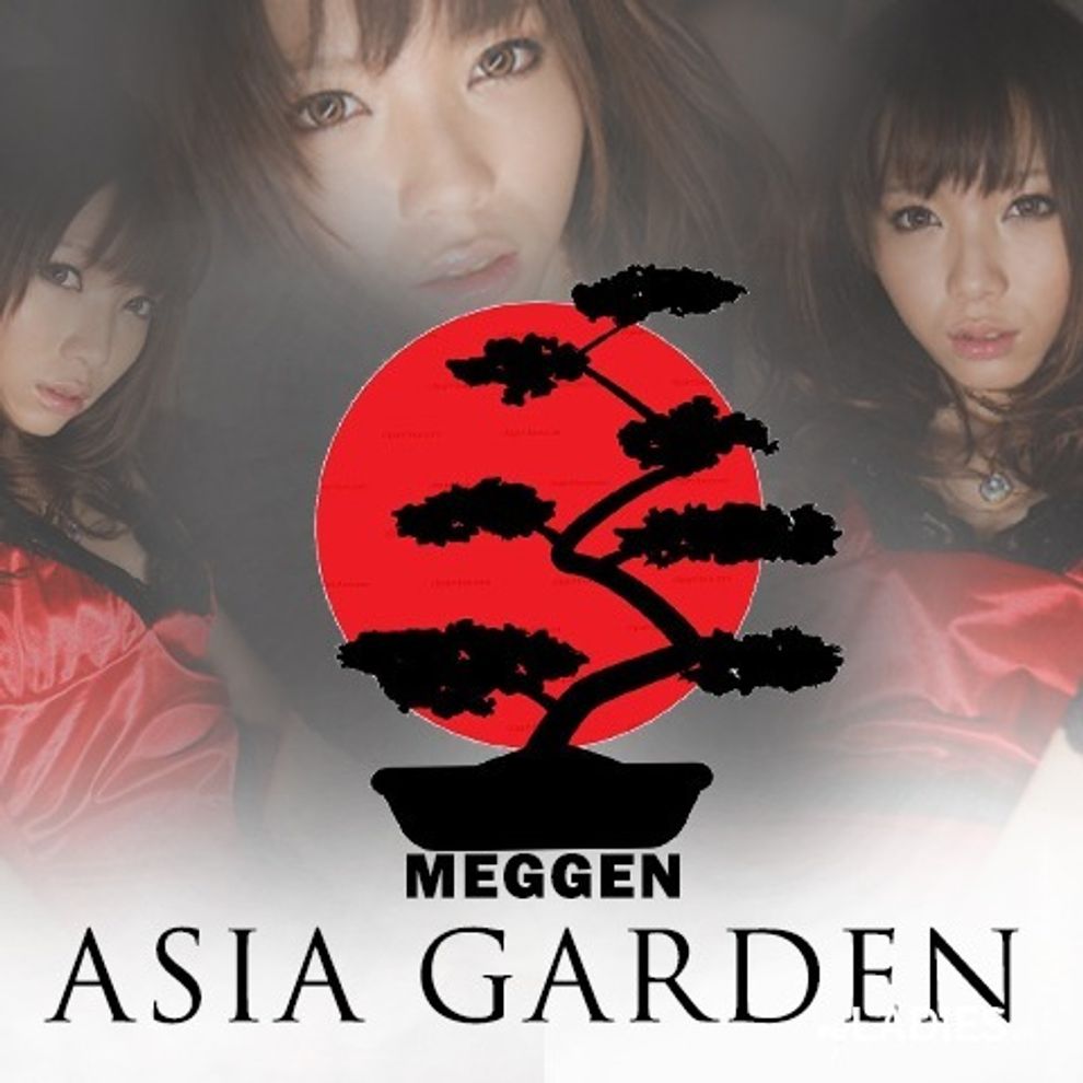 Asia Garten / Bild 9