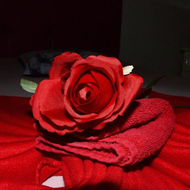 EDEN — 8952 Schlieren