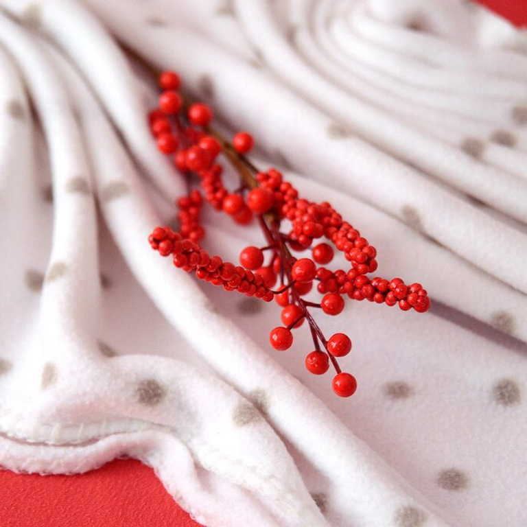 EDEN — 8952 Schlieren