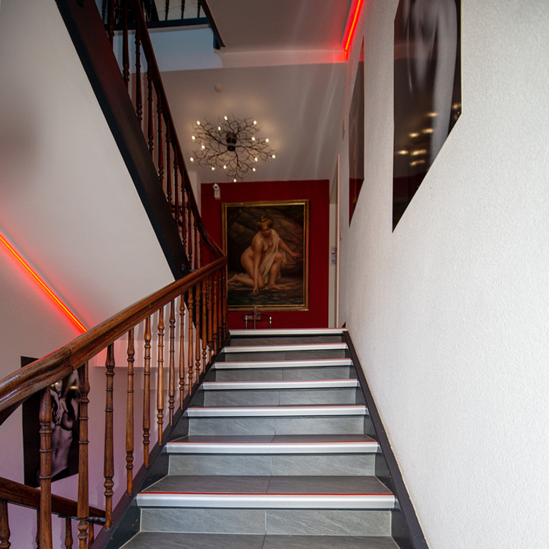 EDEN Zürich Schlieren - Willst Du viel Geld verdienen ?